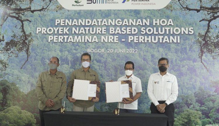 Pertamina dan Perhutani Sinergi Pengembangan NBS (Dok: BUMN)