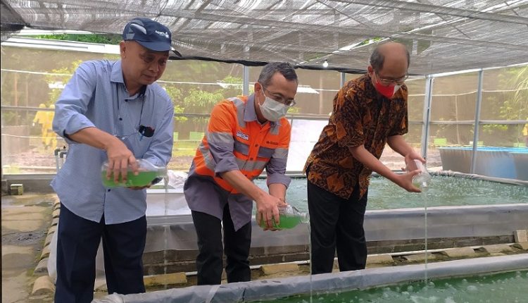 BUMN Semen Lakukan Terobosan Inovasi untuk Dekarbonisasi