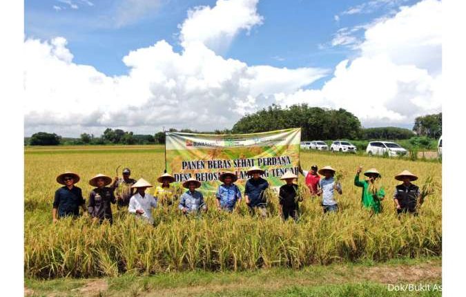 Program Ruang Rural Bukit Asam Wujudkan Pertanian Ramah Lingkungan