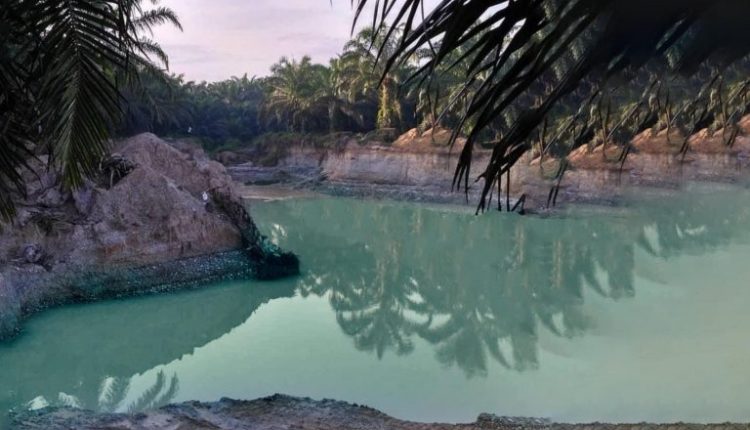 Komitmen PTPN V Wujudkan Perkebunan Berkelanjutan