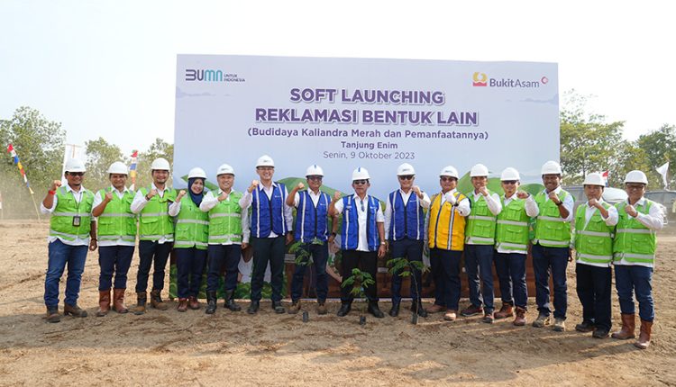 Bukit Asam Kembangkan Energi Biomassa dari Kaliandra Merah