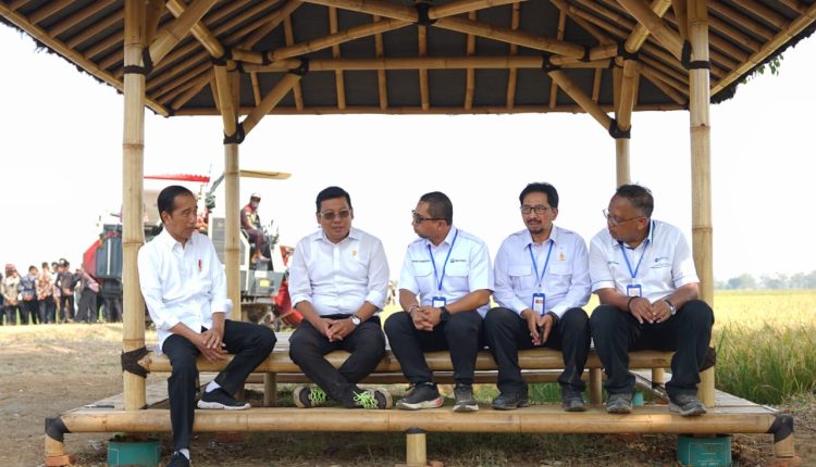 Presiden Jokowi Gelar Kunjungan Ke PT Sang Hyang Seri