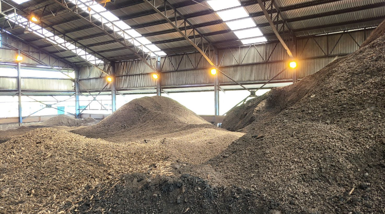 Tahun 2023 PLN EPI Serap 1 Juta Ton Biomassa Untuk Co Firing PLN